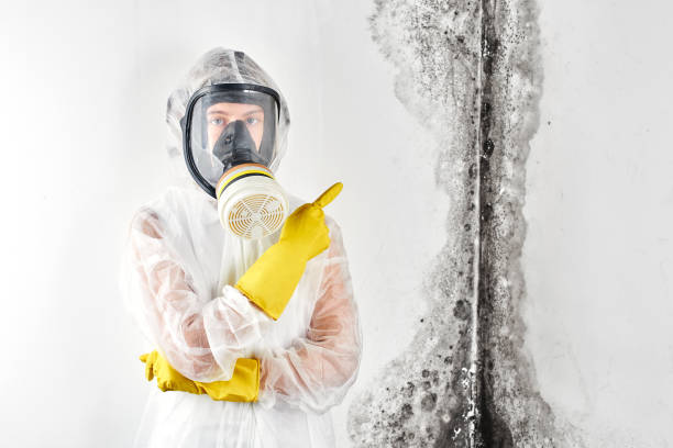 Why You Should Choose Our Mold Remediation Services in La Center, WA